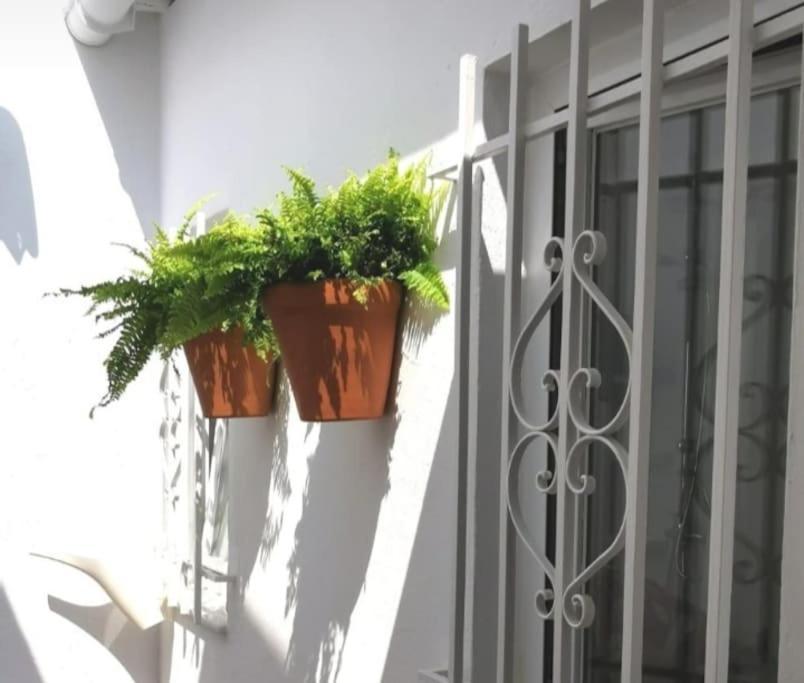 Vila La Marieta, Casita Acogedora Y Centrica Castilleja de la Cuesta Exteriér fotografie